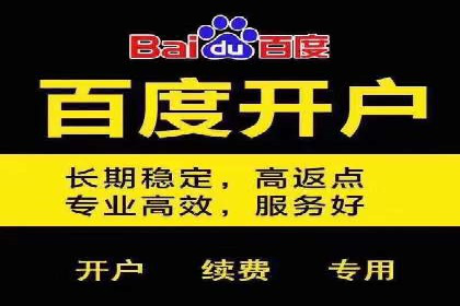 某品牌SEM竞价托管的成功经验
